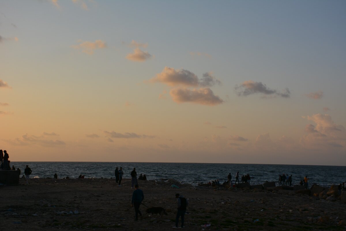 Александрия 