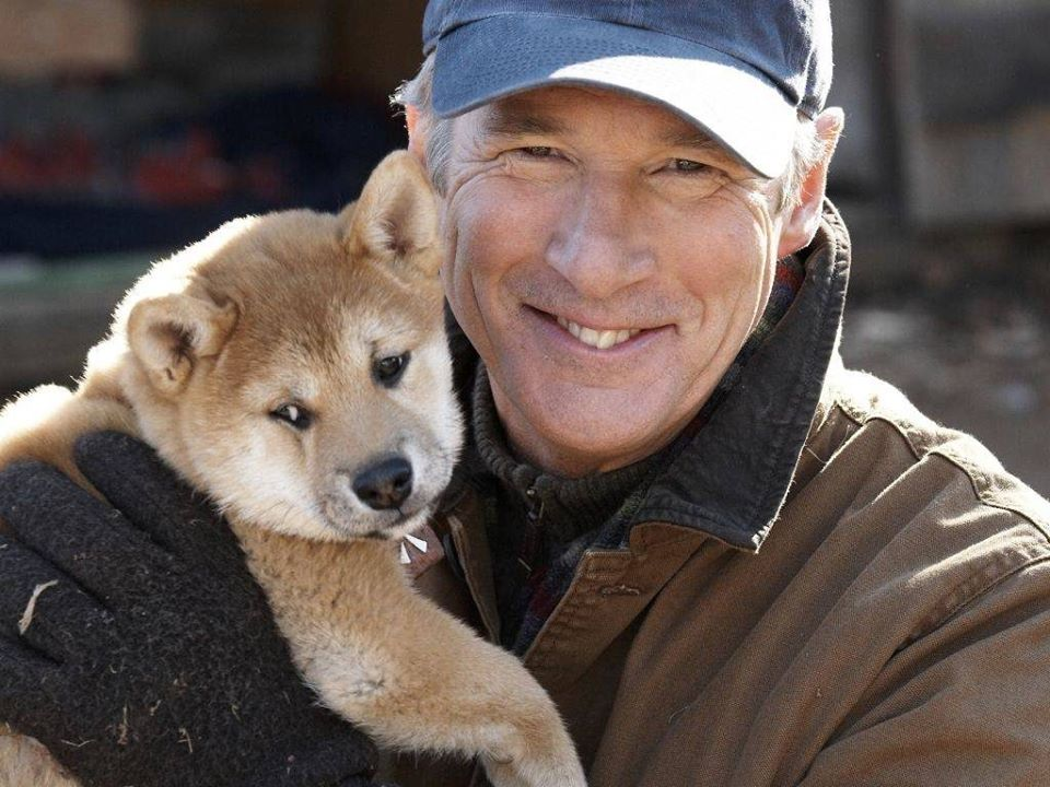 Кадр из фильма (фото из интернета)