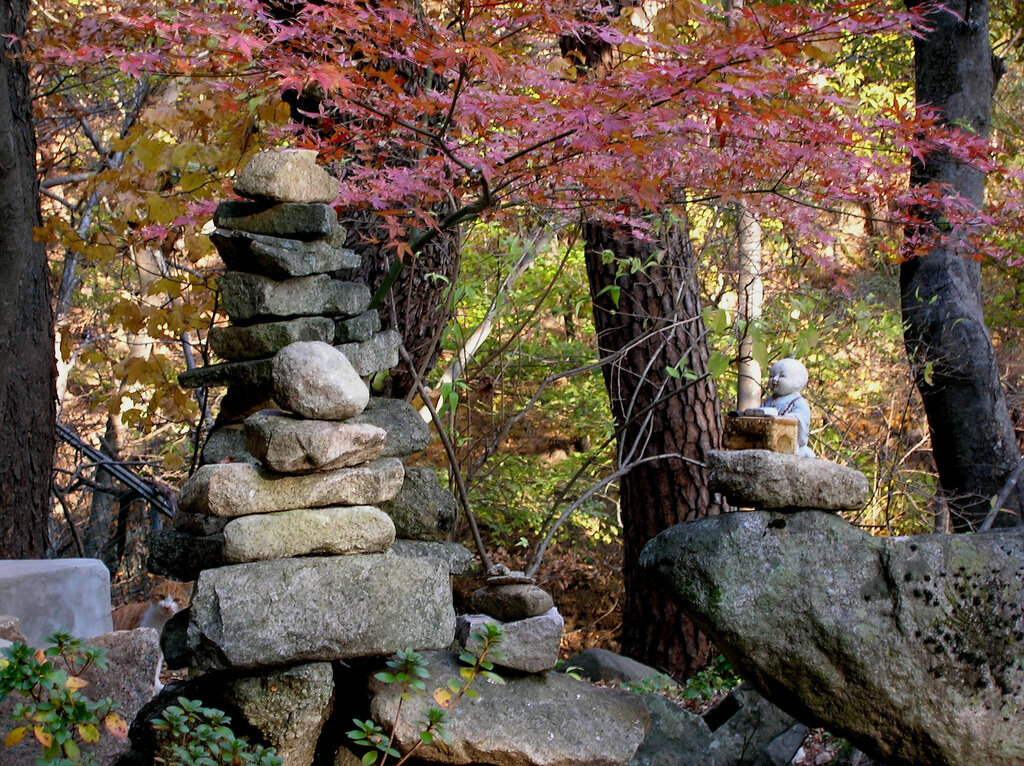 Изображение из Яндекс.картинки