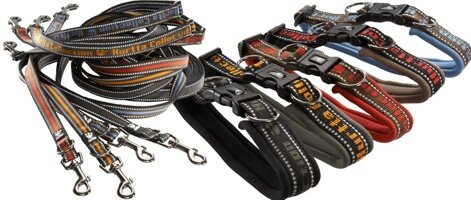 Амуниция дл собак. Ошейник и поводок.