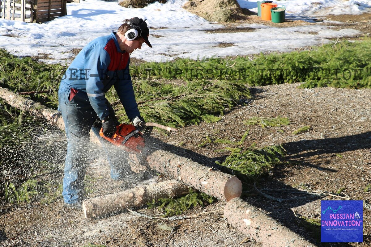 Фото: pixabay.com 