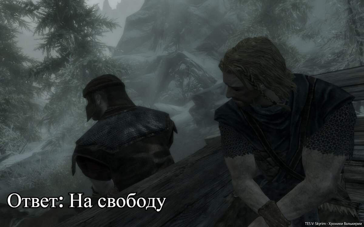 Картинки взяты с различных источников.