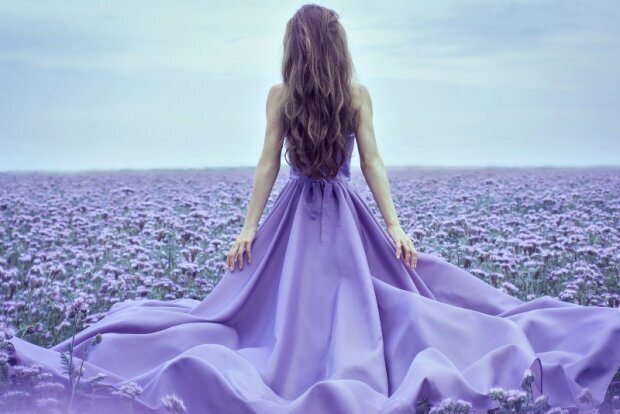 Изображение с сайта Яндекс картинки