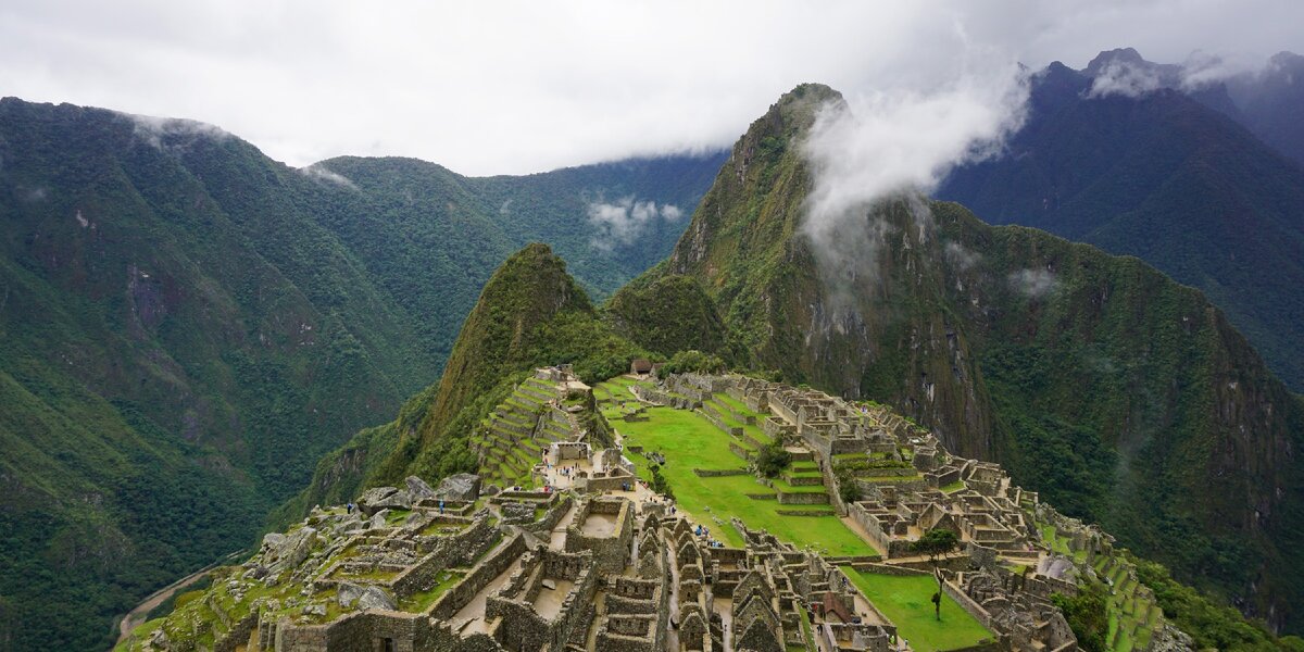 Орхидея machu Picchu