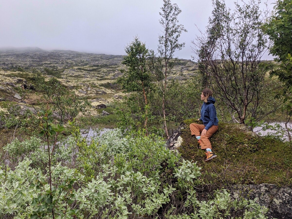 Больше фотографий и видео у меня в Инстаграм