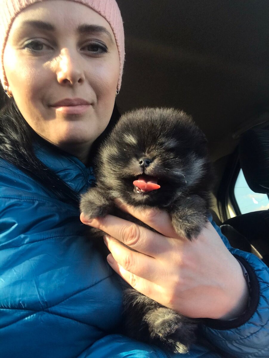 Тот же возраст👌Окрас чёрно подпалый 