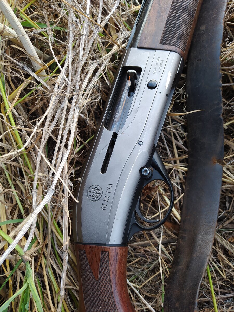 Beretta AL376 12/76 или в общем про иномарки.