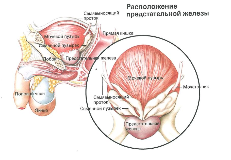 https://pochk.ru/wp-content/uploads/2018/09/Lechenie_adenomy_prostaty_u_muzhchin_medikamentoznym_sposobom_7.jpg