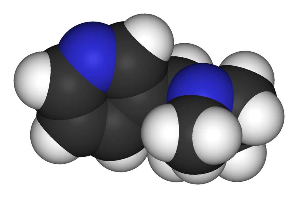 Структура молекулы никотина