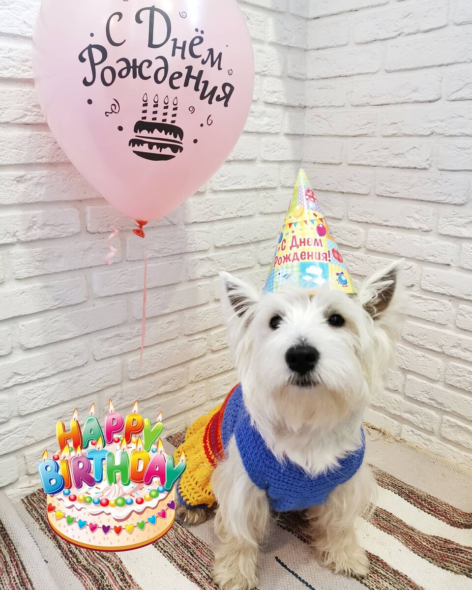 Годик нашей Терри