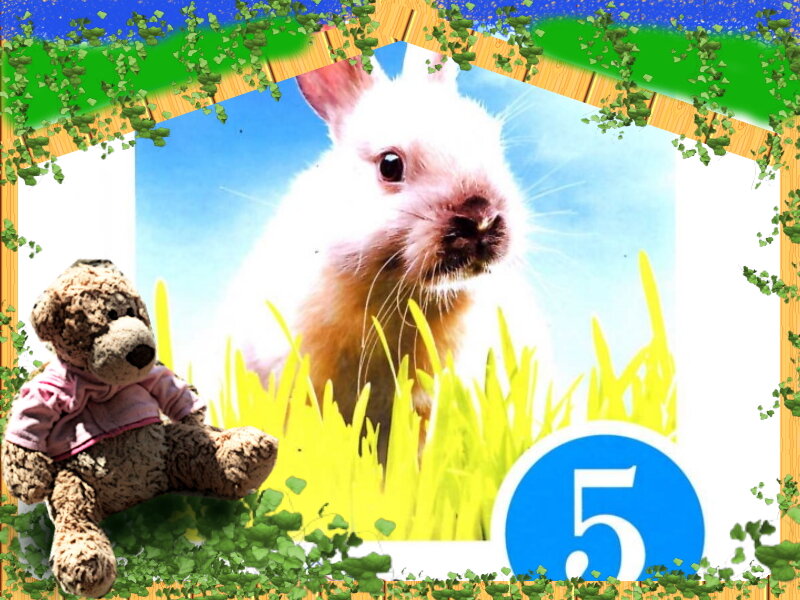 Коллаж автора канала "Домобуч", фото из открытого источника