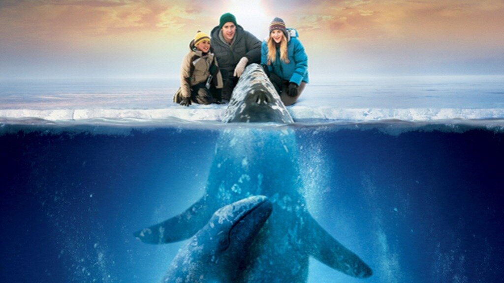 Все любят китов (2012)