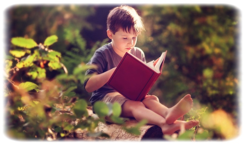 Фото из открытого источника