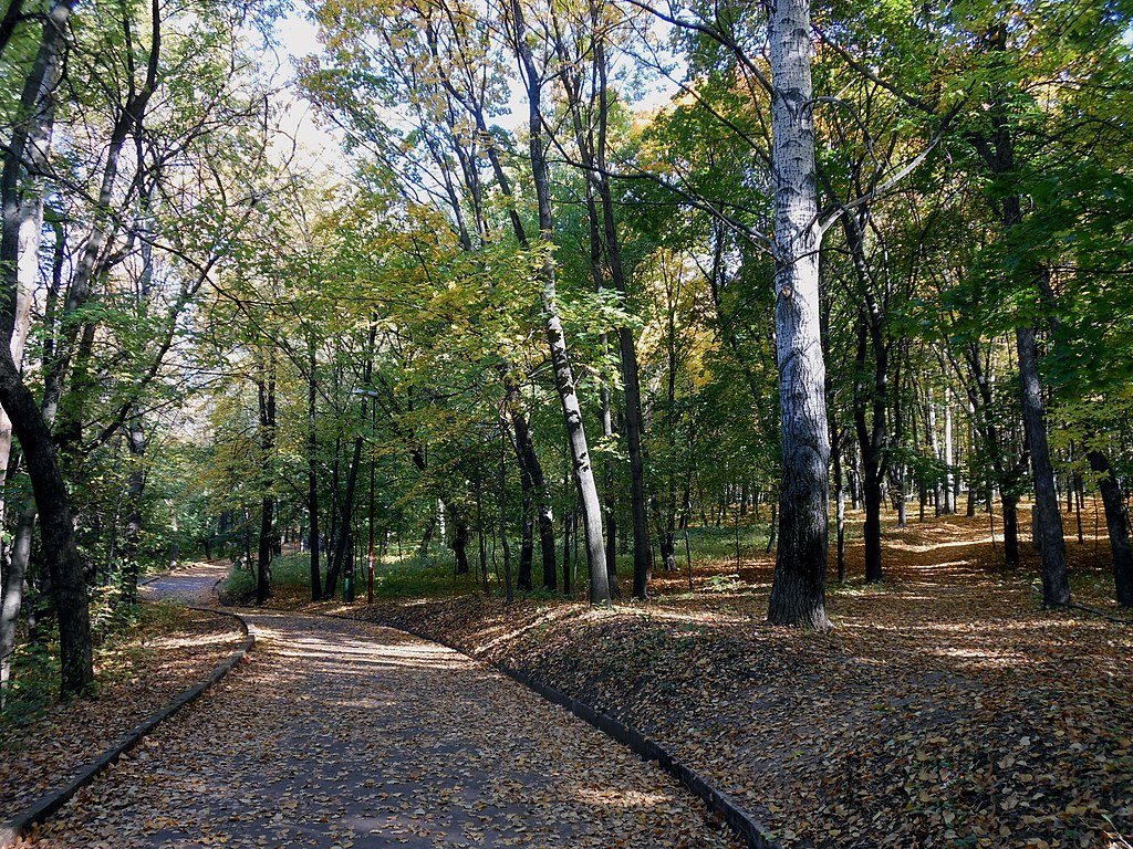 Дорожки в парке Швейцария. wiki