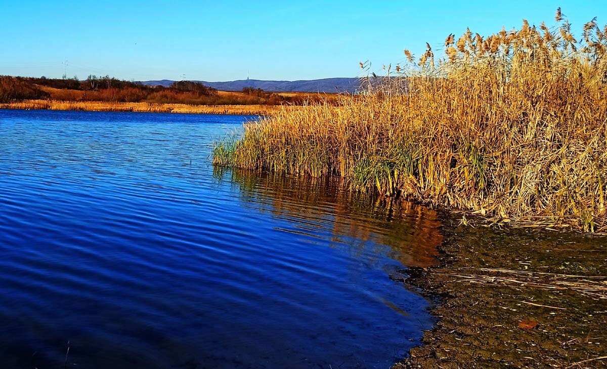 Фрушка гора, Шатриначко озеро