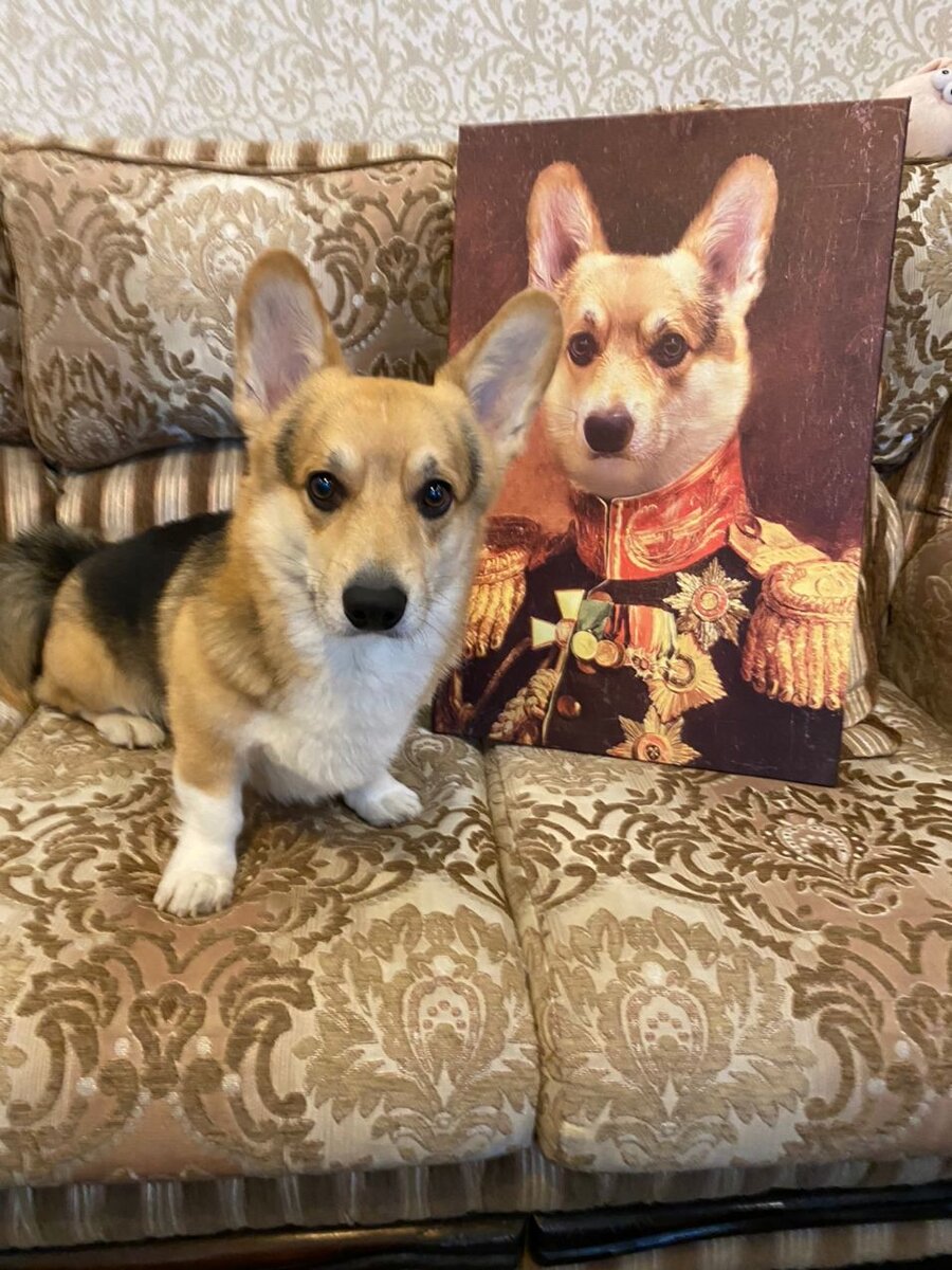 Картина с корги