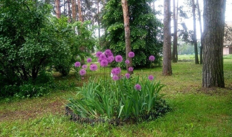 Источник фото https://www.instagram.com/p/BVR4Vp3gDVd/