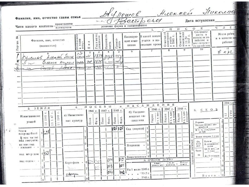 Выдержка из Похозяйственной книги