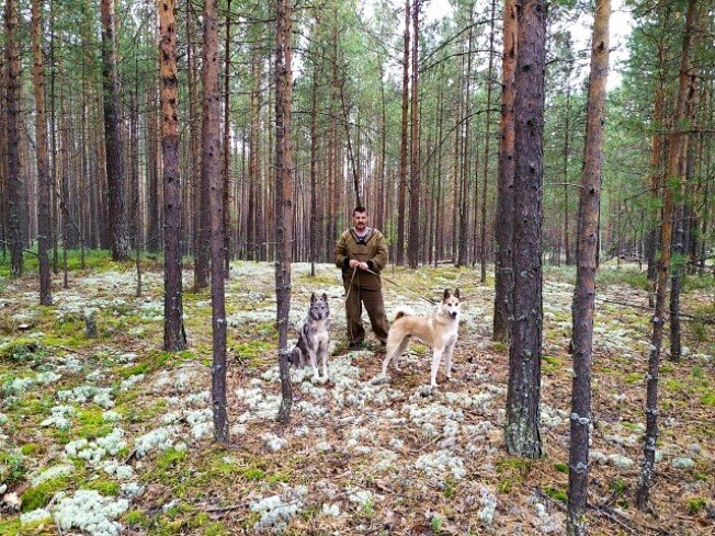 Дядя Витя со своими верными соратниками. Алдан(рыжего окраса) и Тоян.