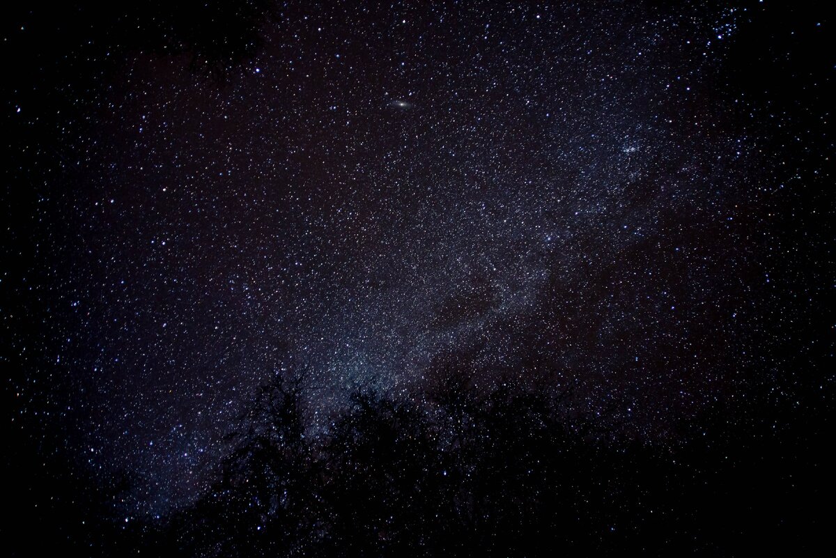 Моя фотография, пусть будет)