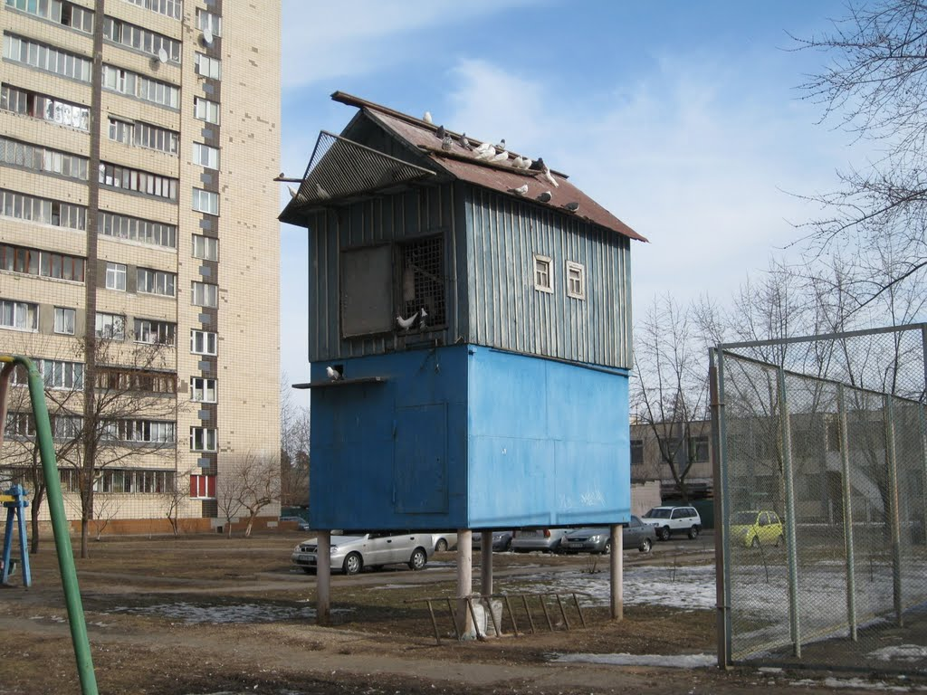 Голубятня во дворе. Голубятни в Медведково. Голубятни в СССР. Голубятни в Долгопрудном мкр. Шереметьевский.