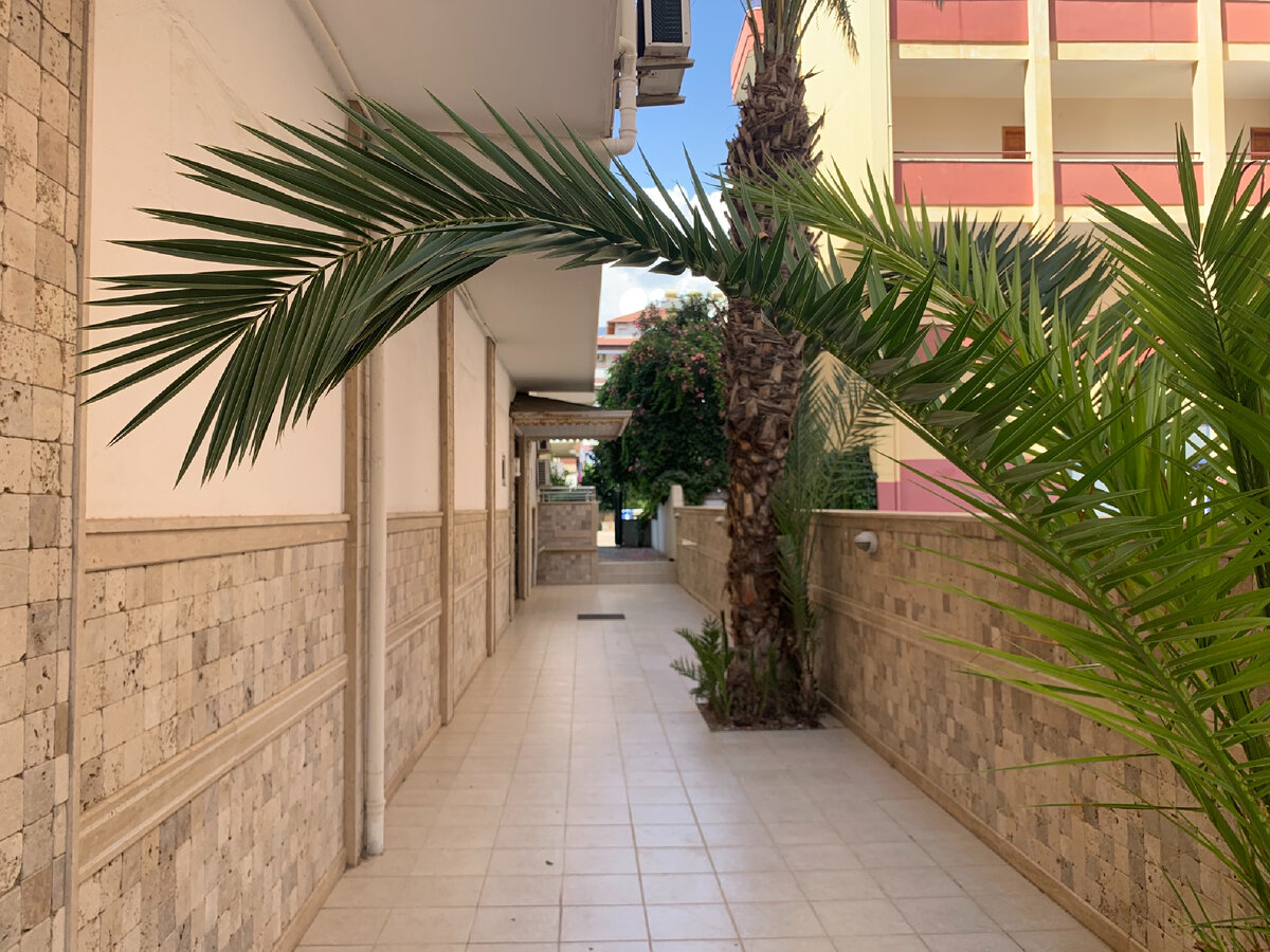 На придомовой территории растут пальмы