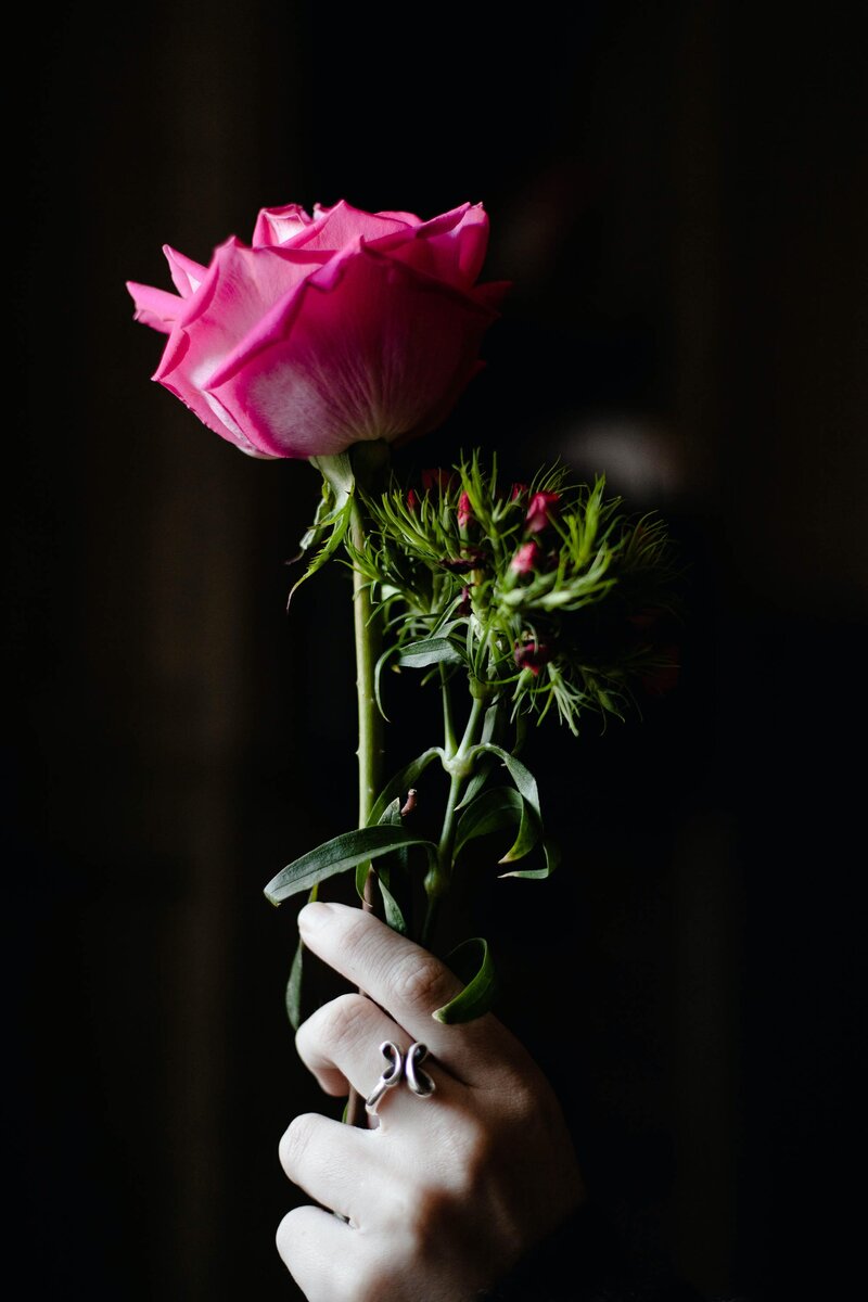 Фотография с сайта unsplash.com.  Автор Rachel Coyne.