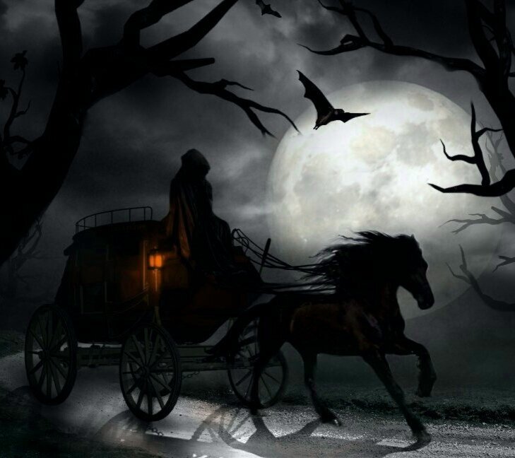 фото с сайта tania-soleil.com