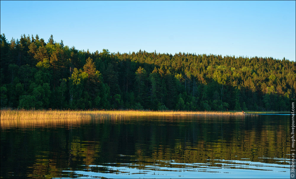 Ладожское озеро в июне
