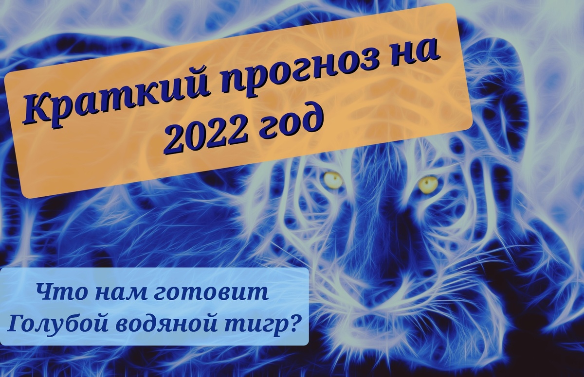 Тигр символизирует собой активность, осторожность, авантюризм и бурный нрав