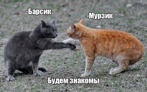 иллюстрация из яндекс картинки.