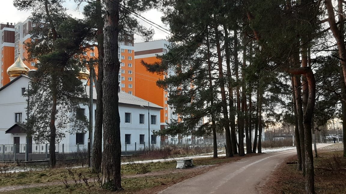 После дождей установилась  сухая погода. Фото автора канала