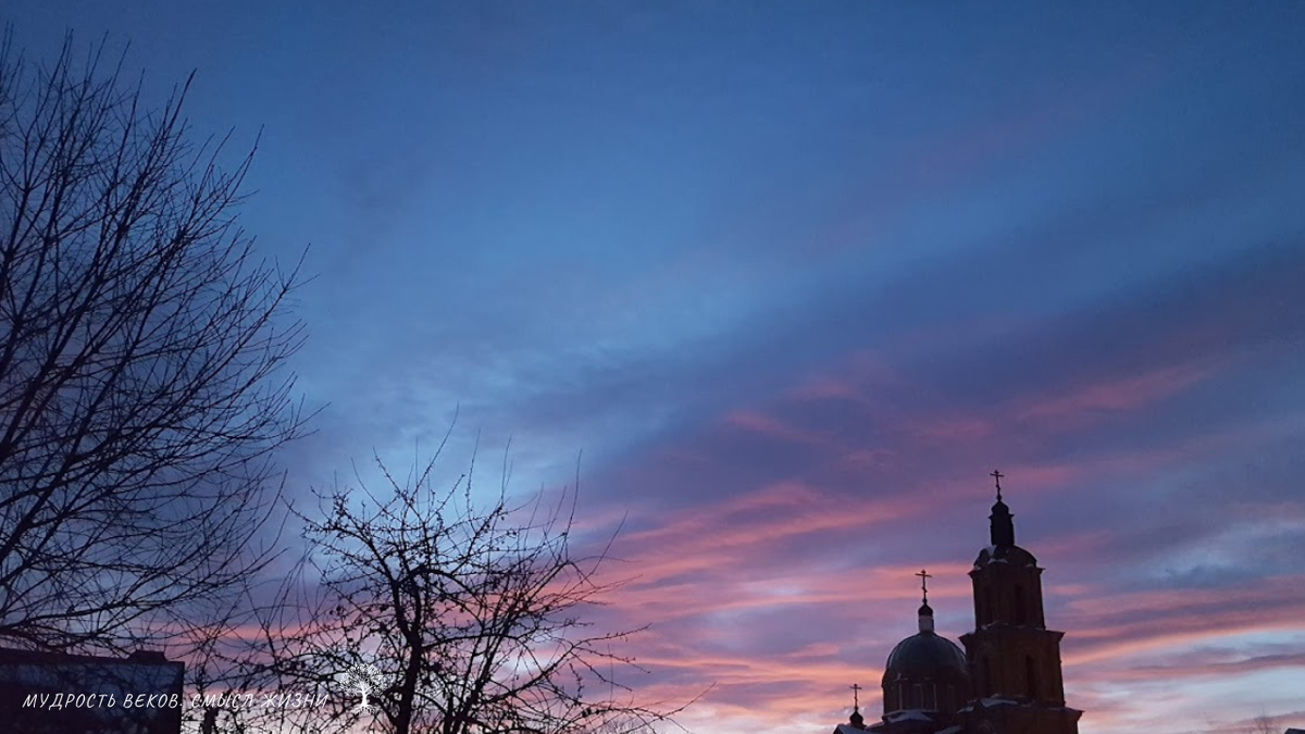 Фото из личных архивов Светланы Аюповой