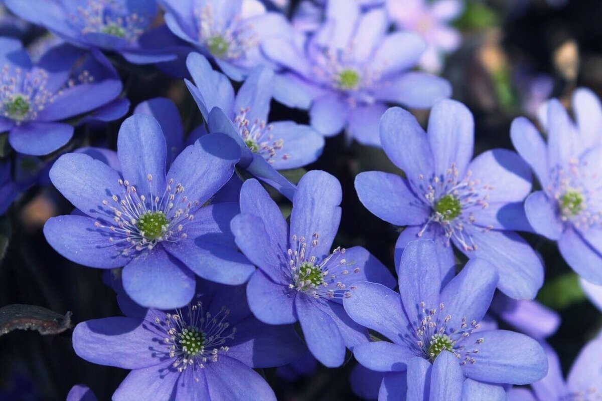 Фотография из сети Интернет