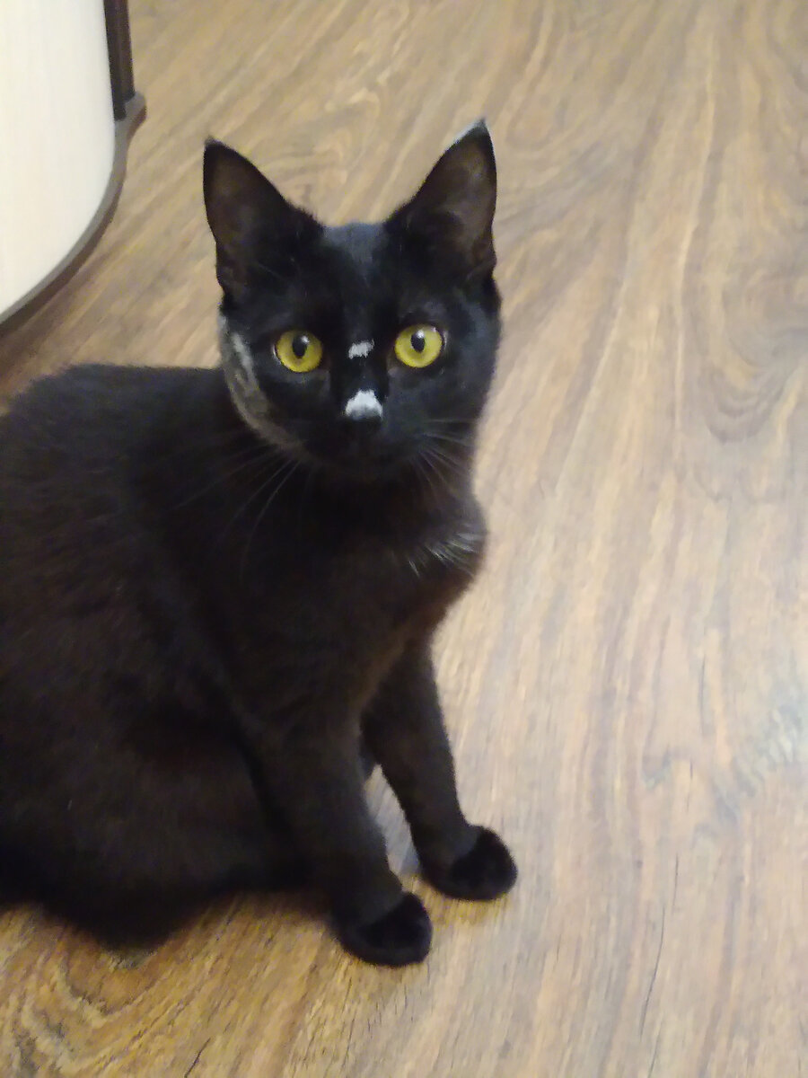 Маруся помогала блины печь. Фото из личного архива