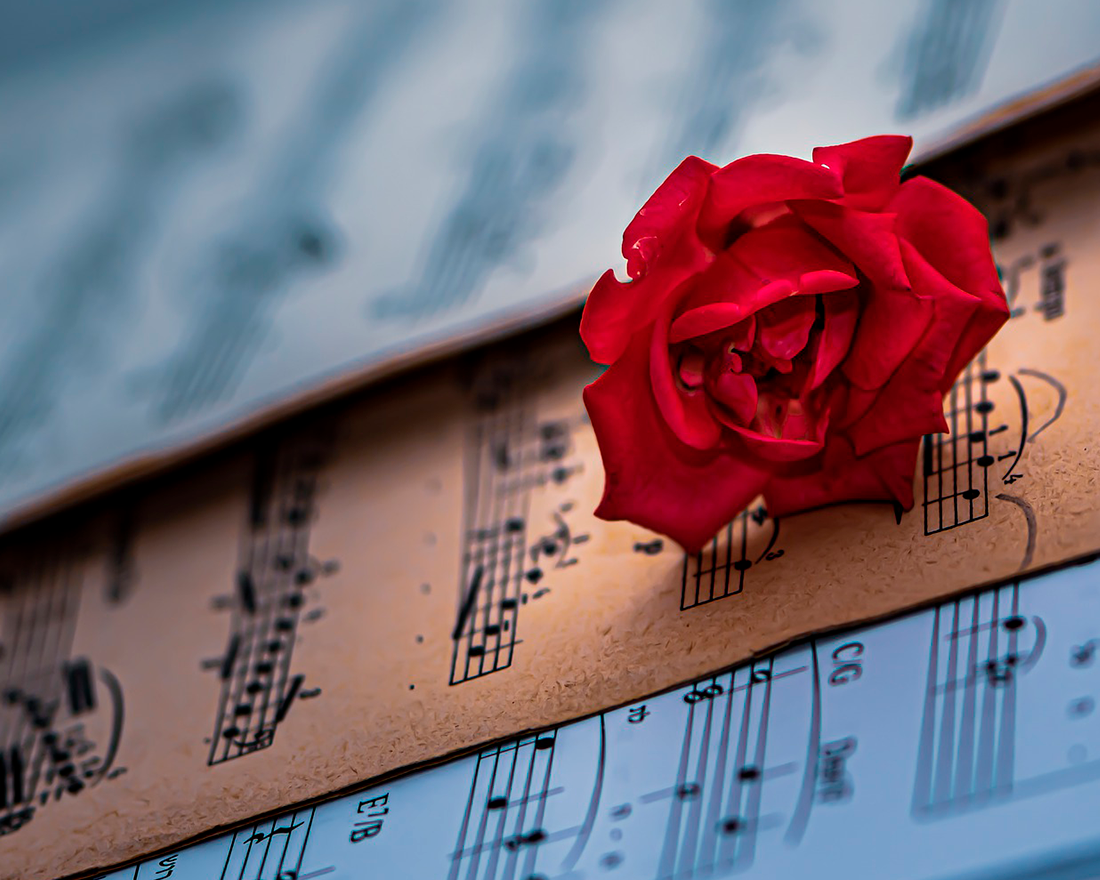 1. Изображение Ri Butov с сайта Pixabay 