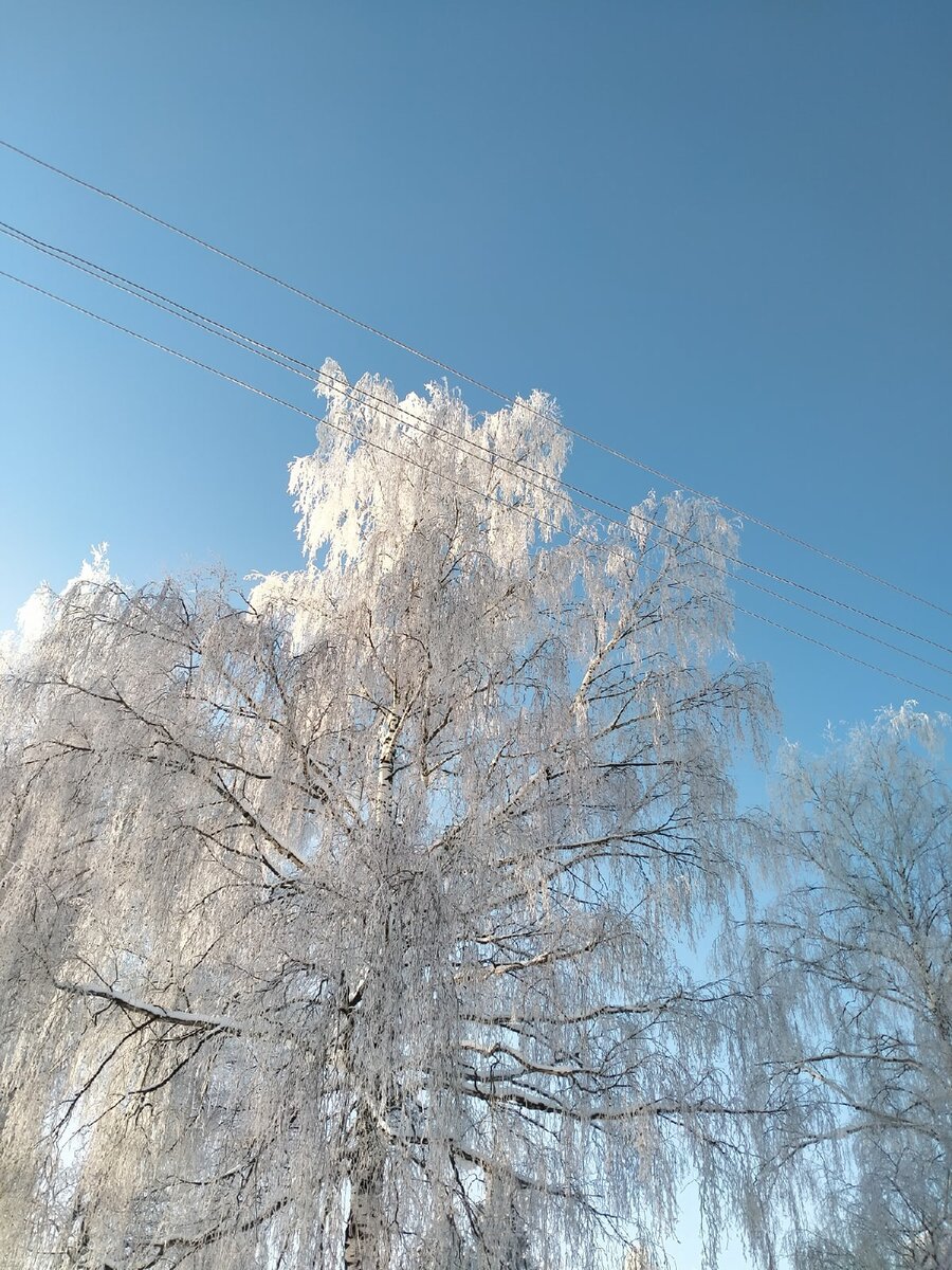 Фото Ольги Жалялиевой