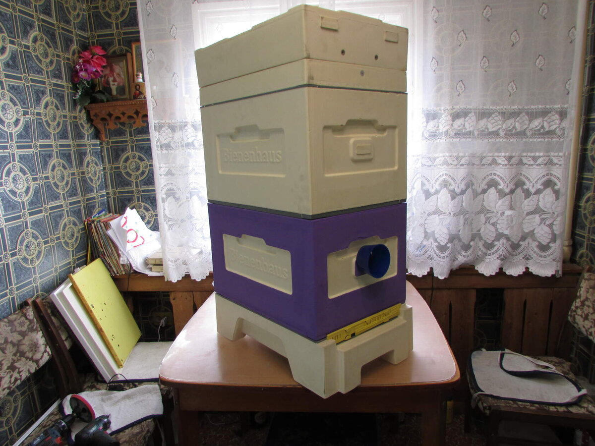 8-рамочный улей Дадана Блатта: плюсы, минусы, технология содержания пчел