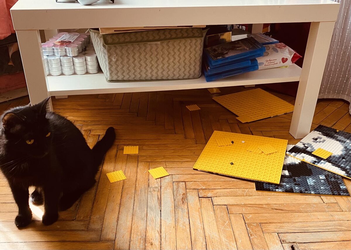 Виновник позирует