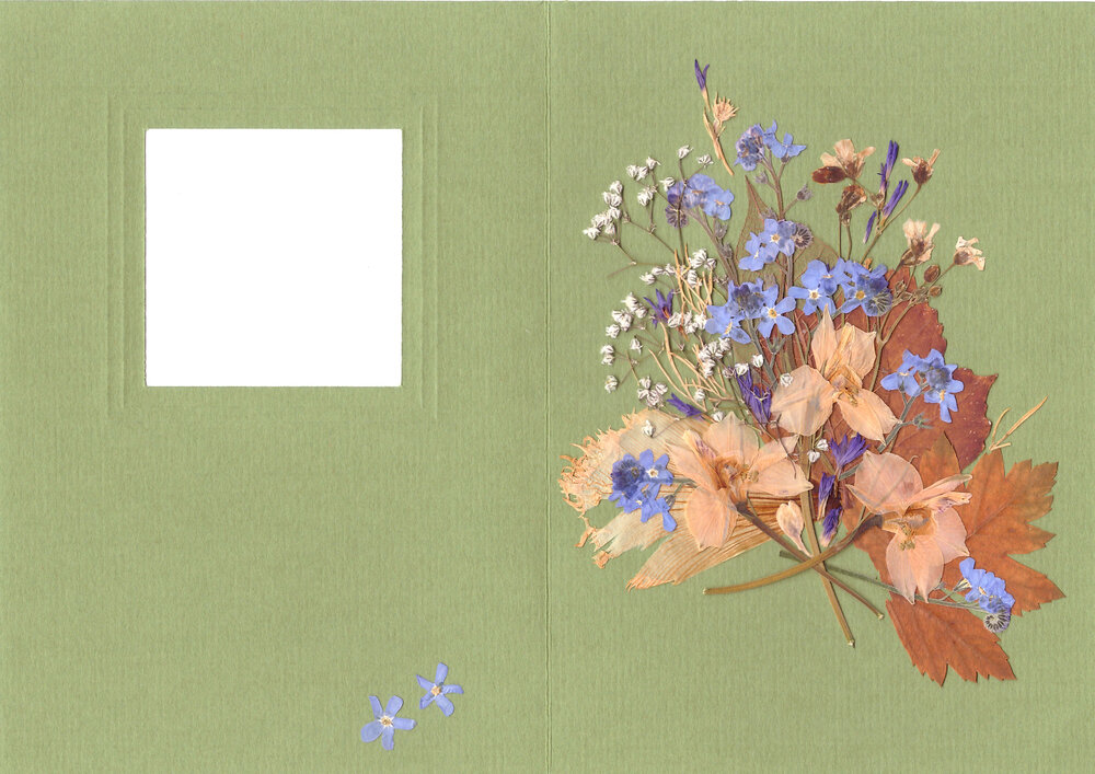 Открытка в раскрытом  виде с внутренней стороны