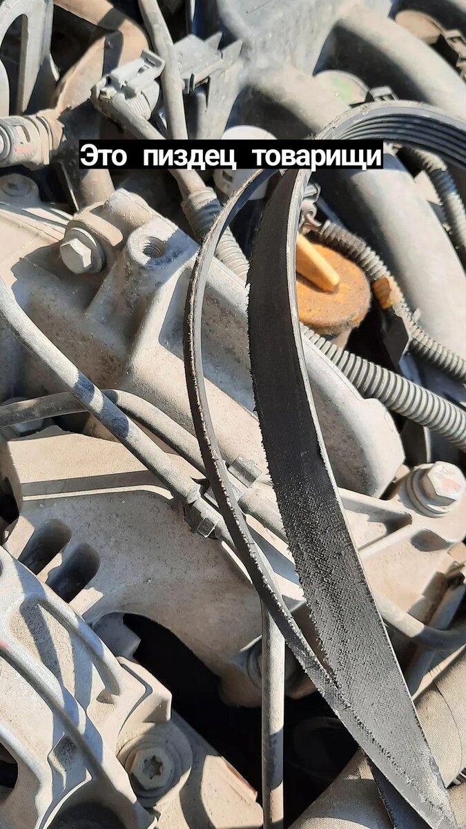 Порванный ремень генератора.