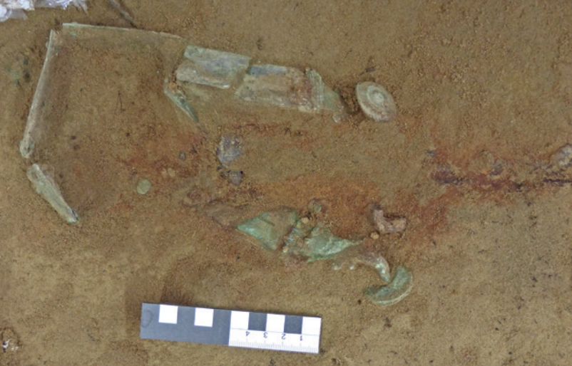 Бляхи пояса, по Треммел, 2020