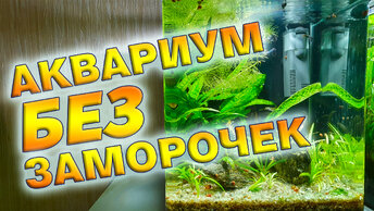 Очень простой и красивый аквариум без химии и CO2. На примере моего кубика на 30 литров.