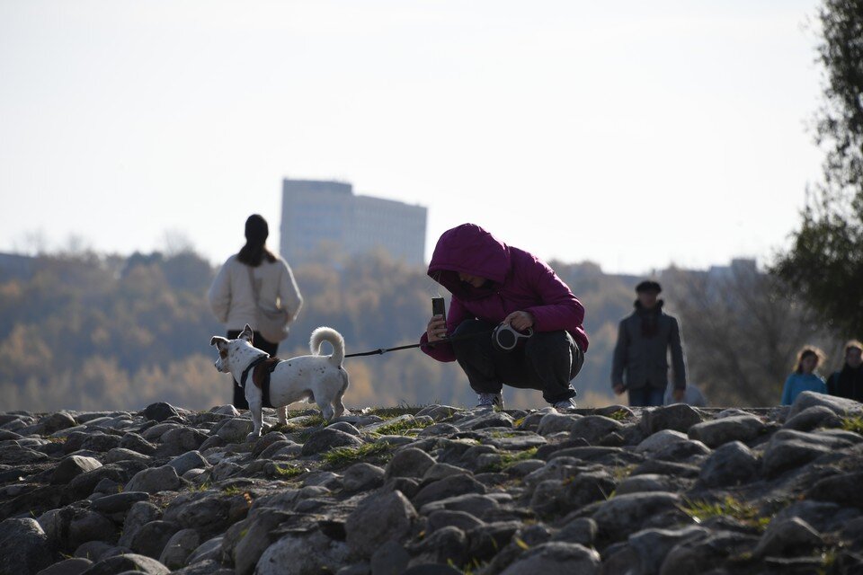     Омбудсмен считает, что пары порой настолько очеловечивают своих питомцев, что не хотят потом заводить настоящих детей. Михаил ФРОЛОВ