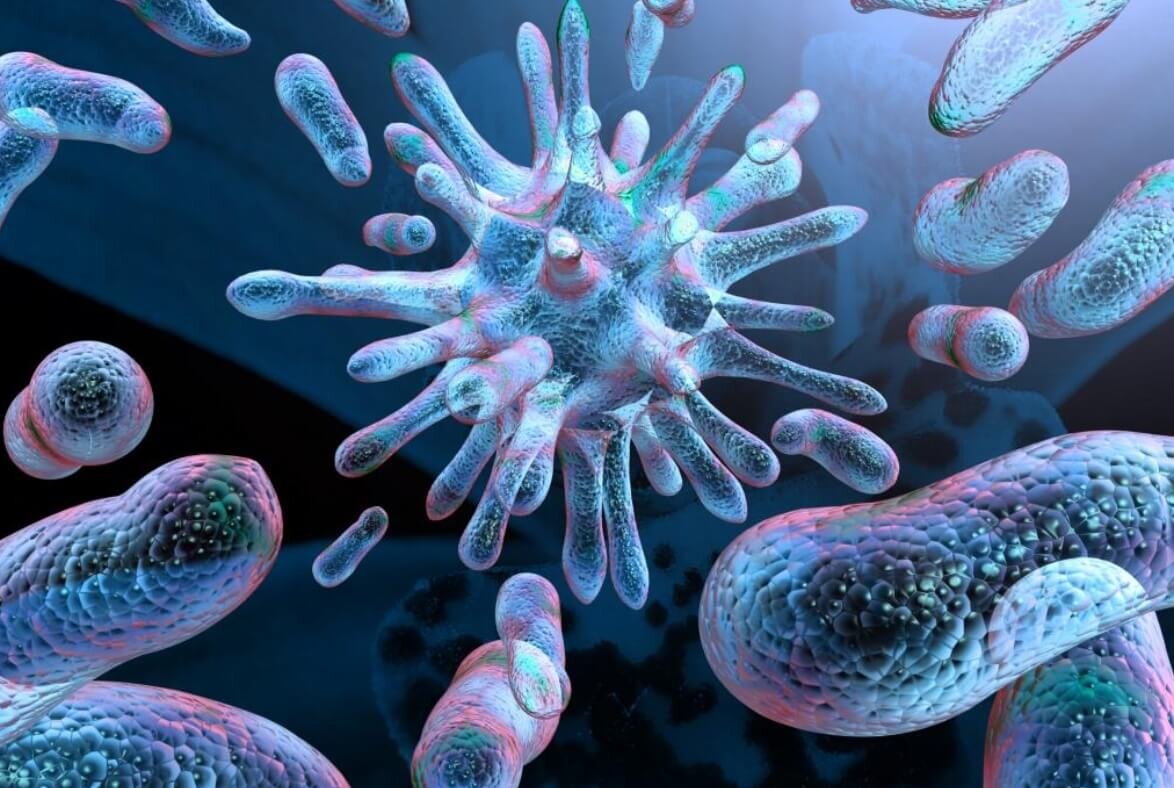    Осенью патогены дольше выживают на воздухе