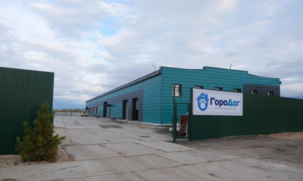    В Новом Уренгое открылся большой приют для бездомных животных