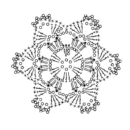 �����24