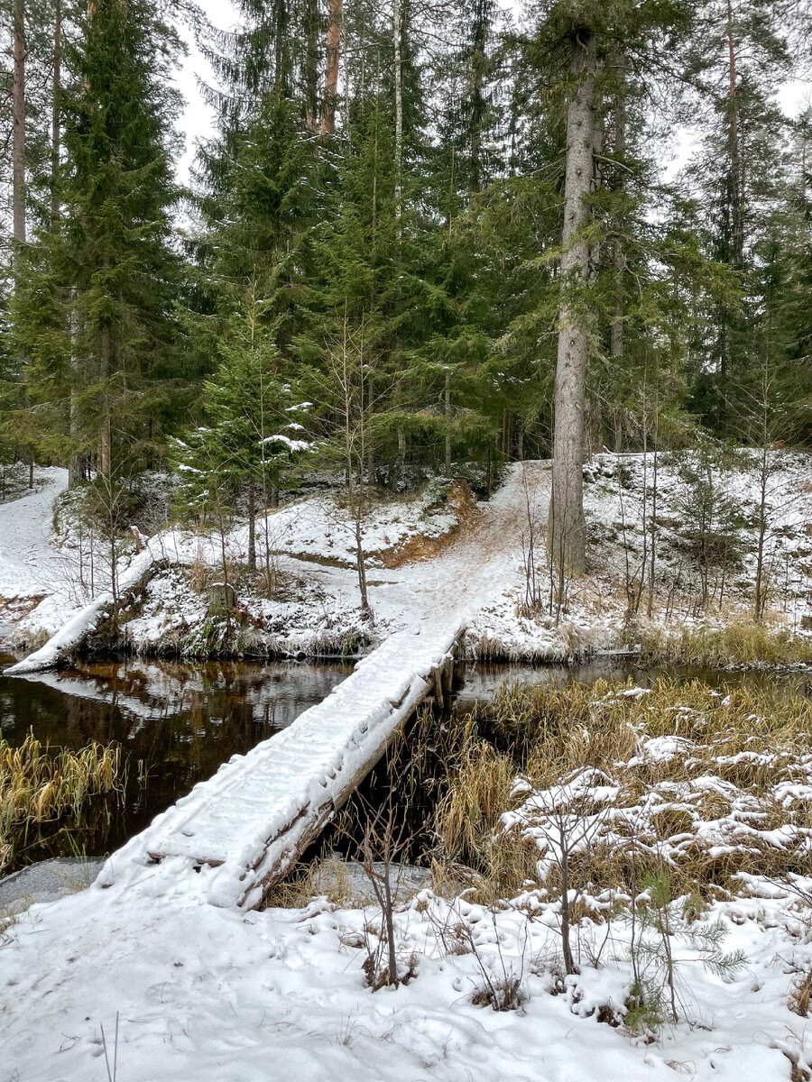 Фото из архива автора. Орехово 