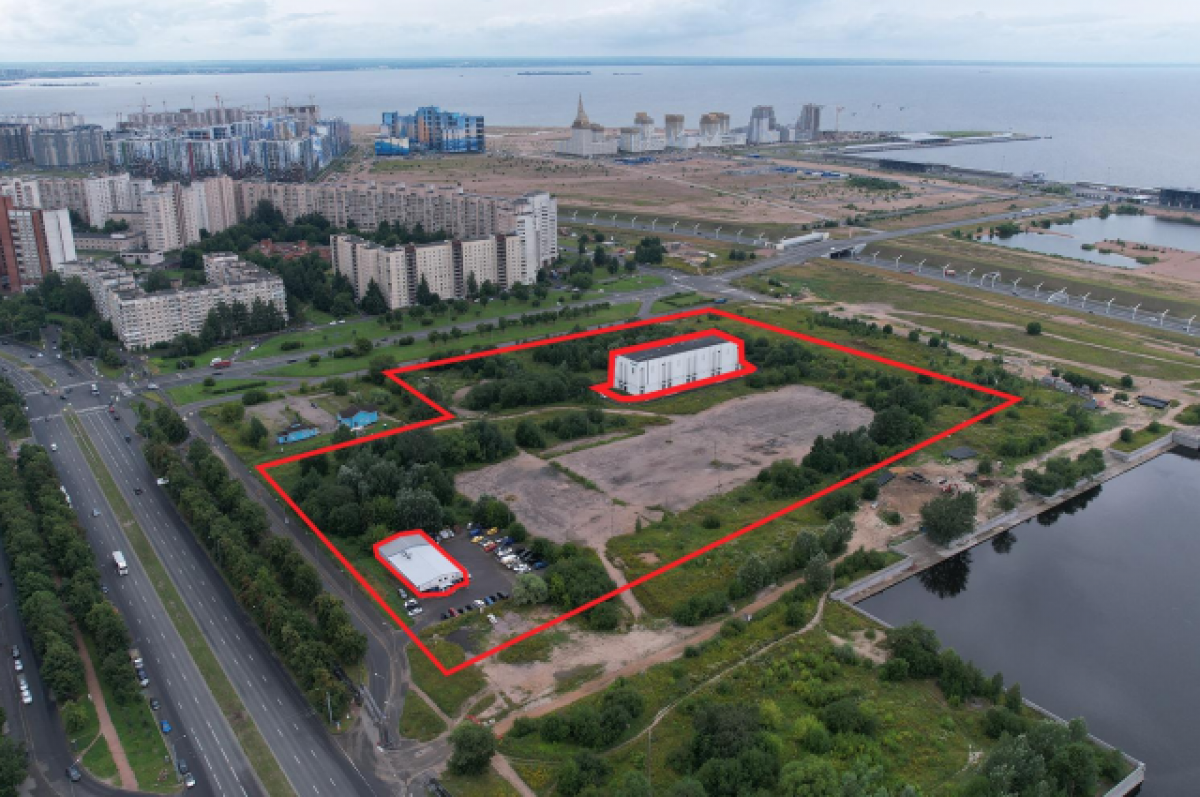    Бастрыкин поручил проверить законность продажи 7 га на Васильевском острове