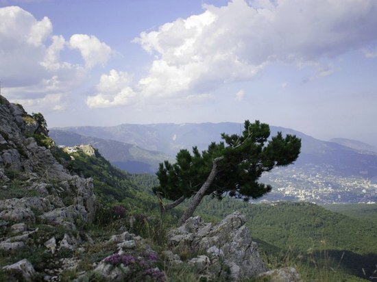     фото: МК в Крыму